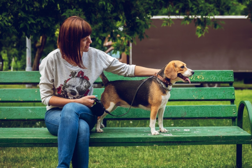 photo-of-woman-sitting-on-bench-beside-a-beagle-2534968